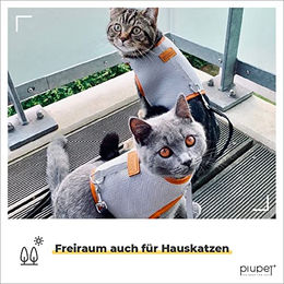 PiuPet Katzengeschirr mit 1,2m Leine Grau aus Kunstleder Größe S ausbruchsicher für alle Altersstufen – Bild 1 von 4