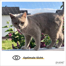PiuPet Katzennetz transparent 4x3 m aus Nylon für Balkon und Fenster - 12 m – Bild 1 von 6