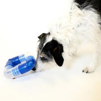 Produktbild von Planet Dog Orbee-Tuff Link Intelligenzspielzeug Snackball für Hunde Welpe Orange - 1 Stk.