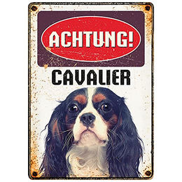 Plenty Gifts Metallschild Blech Vintage Achtung Cavalier King Charles Spaniel – Bild 1 von 2
