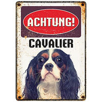 Produktbild von Plenty Gifts Metallschild Blech Vintage Achtung Cavalier King Charles Spaniel