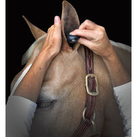 Produktbild von Plughz Equine Ohrstöpsel für Pferde aus Memory Foam Schwarz Größe S