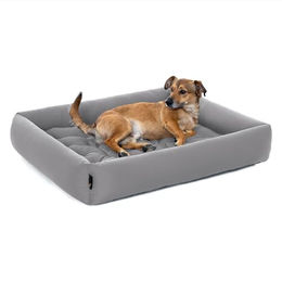 Pointer Orthopädisches Hundebett für große Hunde XXL 110x100 cm Hellgrau Waschbar und Kratzfest – Bild 1 von 7