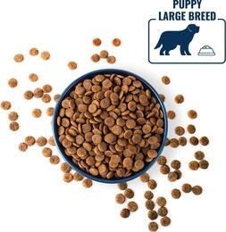 Polaris getreidefreies Granulat Junior Large Breed mit Lamm und Lachs 2,5 kg – Bild 1 von 1