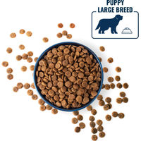 Produktbild von Polaris getreidefreies Granulat Junior Large Breed mit Lamm und Lachs 2,5 kg