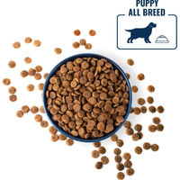 Produktbild von Polaris Hundetrockenfutter Puppy mit Lachs und Pute 12kg