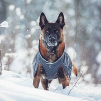 Produktbild von Pomppa Kevyt Hundemantel Graphit Grau Wasserdicht Größe 65