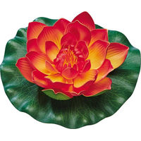 Produktbild von Pontec PondoLily Seerose Orange
