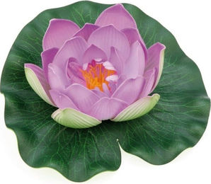 Pontec PondoLily Seerosenblüte in Violett – Bild 1 von 2
