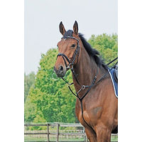 Produktbild von Pony Martingal Basic Busse aus Leder in Schwarz - 1 Stk.