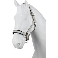 Produktbild von Pony Nylonhalfter B Vertigo High Altitude in Beige