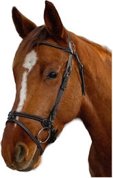 Pony Trense Flags&Cup Calgary in Schwarz mit Edelstahl – Bild 1 von 1