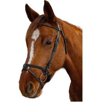 Produktbild von Pony Trense Flags&Cup Calgary in Schwarz mit Edelstahl