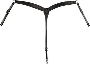 Produktbild von Pool's Barbwire Jagdhalsband für Pferde aus Leder in Schwarz