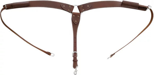 Produktbild von Pool's Buckaroo Glattes Jagdhalsband aus Leder in Braun