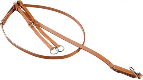 Produktbild von Pool's Martingale mit Ringen und 2 Halsbändern aus Kunstleder in Beige und Braun