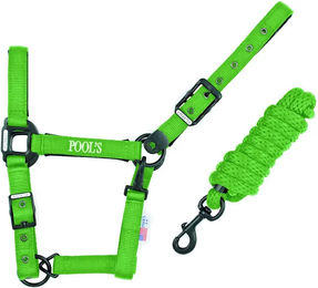 Produktbild von Pool's Pferdehalfter aus Nylon mit Lederbesatz