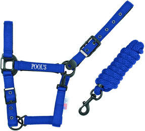 Produktbild von Pool's Pferdehalfter aus Nylon mit Lederbesatz in Schwarz oder Blau