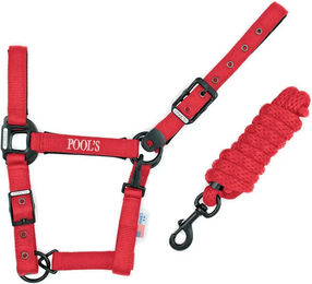 Produktbild von Pool's Pferdehalfter aus Nylon mit Lederdetails in Schwarz oder Rot