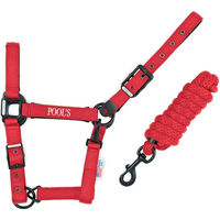 Produktbild von Pool's Pferdehalfter aus Nylon mit Lederdetails in Schwarz oder Rot