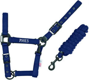 Produktbild von Pool's Pferdehalfter aus Nylon mit Lederdetails in Schwarz und Blau