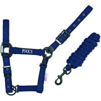 Produktbild von Pool's Pferdehalfter aus Nylon mit Lederdetails in Schwarz und Blau