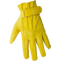Produktbild von Pool's Reithandschuhe aus Leder Modell 174 Umbria Equitazione Gelb XXL Unisex