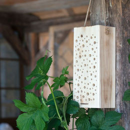 Powertec Wildbienen-Nisthilfe aus Naturholz in Braun – Bild 1 von 1