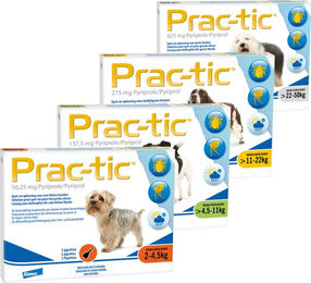 Prac-tic XS Spot-On gegen Flöhe und Zecken für Katzen 2 bis 4,5 kg 3 Pipetten – Bild 1 von 2