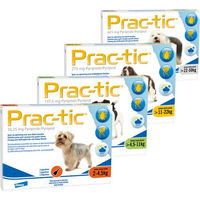 Produktbild von Prac-tic XS Spot-On gegen Flöhe und Zecken für Katzen 2 bis 4,5 kg 3 Pipetten