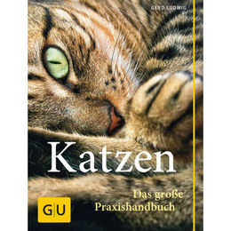 Produktbild von Praxishandbuch Katzen Bunt
