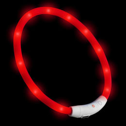 PRECORN LED Silikon Hunde Leuchthalsband wasserdicht und USB-C aufladbar Rot - 1 Stk. – Bild 1 von 6