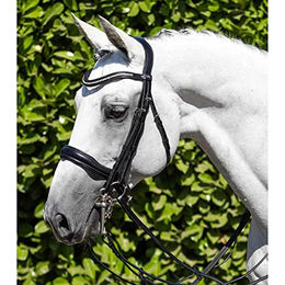 Premier Equine Abriano Doppelzäum für Pferde aus Leder in Schwarz – Bild 1 von 4