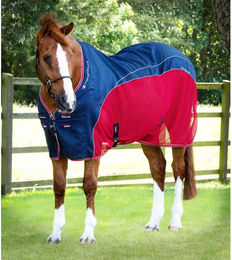 Premier Equine Abschwitzdecke für Pferde Blau 175 cm – Bild 1 von 5