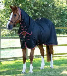 Premier Equine Abschwitzdecke für Pferde mit Halsteil in Schwarz aus Polyester – Bild 1 von 4