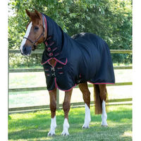 Produktbild von Premier Equine Abschwitzdecke mit Halsteil in Schwarz aus Polyester
