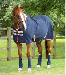 Premier Equine Abschwitzdecke Premtex aus Wolle Blau 206 cm – Bild 1 von 3