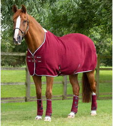 Produktbild von Premier Equine Abschwitzdecke Premtex aus Wolle in Rot