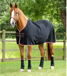 Produktbild von Premier Equine Abschwitzdecke Premtex aus Wolle in Schwarz