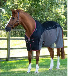 Produktbild von Premier Equine Abschwitzdecke Schwarz
