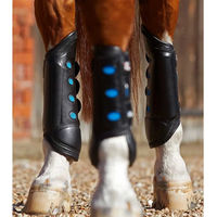 Produktbild von Premier Equine Air Cooled Original Eventing Hintere Gamaschen für Pferde aus Kunstleder Schwarz Größe S