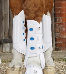 Premier Equine Air Cooled Original Hinterbeingamaschen für Pferde aus Neopren Weiß Größe M – Bild 1 von 2