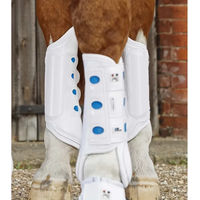 Produktbild von Premier Equine Air Cooled Original Hinterbeingamaschen für Pferde Weiß Größe L