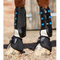 Produktbild von Premier Equine Air Cooled Original Vorderbeingamaschen für Pferde Schwarz XS
