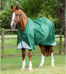 Produktbild von Premier Equine Akoni Original Outdoor-Pferdedecke in Grün 0g