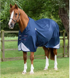 Premier Equine Akoni Outdoor-Decke für Pferde Blau 0g – Bild 1 von 4