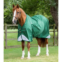 Produktbild von Premier Equine Akoni Outdoor-Pferdedecke in Grün 0g