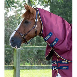 Premier Equine Akoni Stratus Outdoor-Decke für Pferde mit Halsabdeckung 0g – Bild 1 von 4