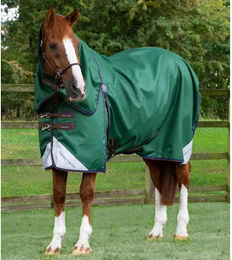 Produktbild von Premier Equine Akoni Stratus Outdoor-Decke mit Halsteil in Grün