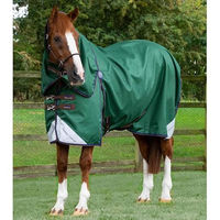 Produktbild von Premier Equine Akoni Stratus Outdoor-Pferdedecke mit Halsabdeckung in Grün 0g
